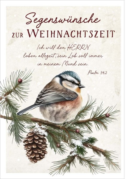 Postkarte Vogel auf Zweig