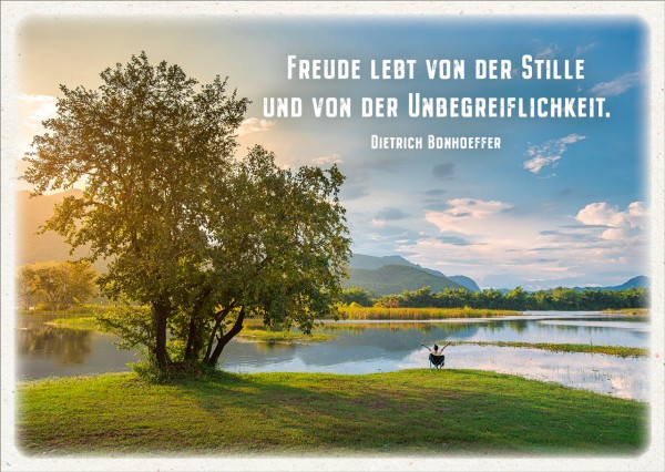 Postkarte Freude lebt von der Stille - Baum am See - Dietrich Bonhoeffer
