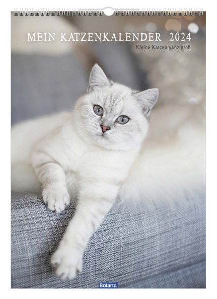 Mein Katzenkalender 2024 - Posterkalender