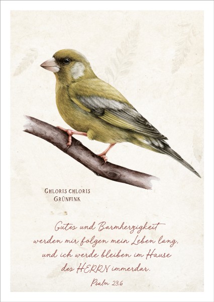 Postkarte Gutes und Barmherzigkeit - Grünfink