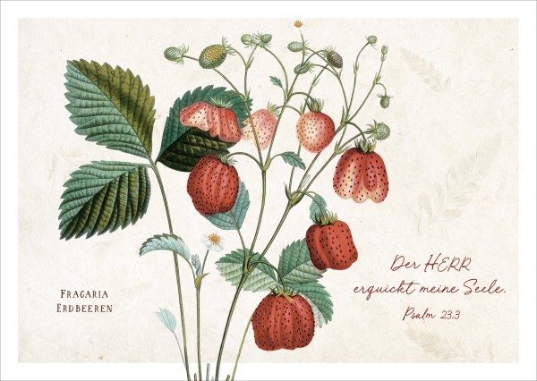 Postkarte Psalm 23 - Erdbeeren - Der Herr ist mein Hirte