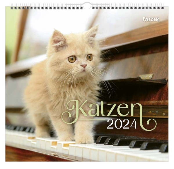 Katzen 2024 - Wandkalender