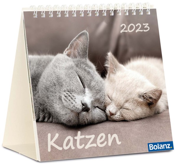 Katzen 2023 - Tischkalender